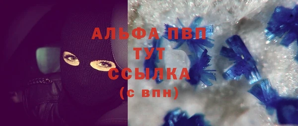 2c-b Гусев