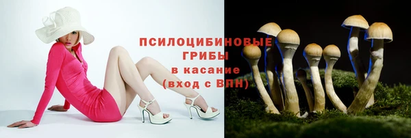 2c-b Гусев