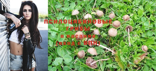 ешки Дмитриев