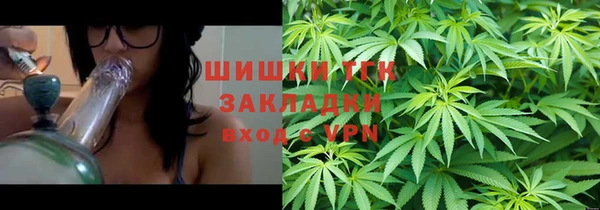 2c-b Гусев