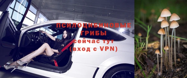 герыч Дмитровск