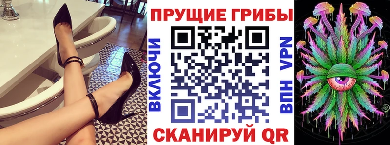 Купить закладки Горно-Алтайск Псилоцибиновые грибы Psilocybine cubensis
